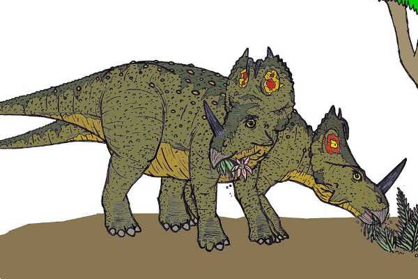 马里龙:蒙古大型甲龙类恐龙(仅出土颅骨/长6米)