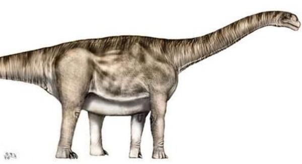 劳尔哈楼龙:唯一拥有植食胃石的肉食恐龙(多达32颗)
