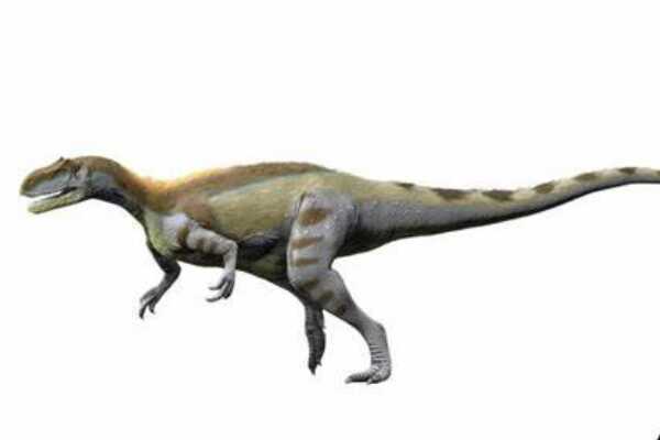 独角龙:北美大型角龙科恐龙(长6米/鼻部长独角)