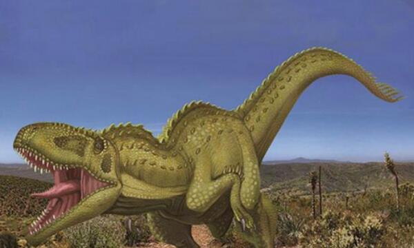 大谜龙:南美大型植食恐龙(幼年化石体长6米)
