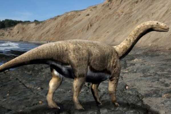 芒康龙:西藏中型植食恐龙(长5米/化石破碎稀少)
