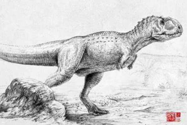 犸君颅龙:非洲大型肉食恐龙(最长11米/头顶长角)