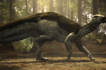 腱龙：北美洲大型食草恐龙（长7米/距今1.13亿年前）