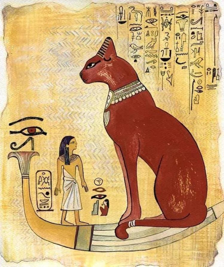 埃及艳后的猫叫什么名字,纯黑阿比西尼亚猫