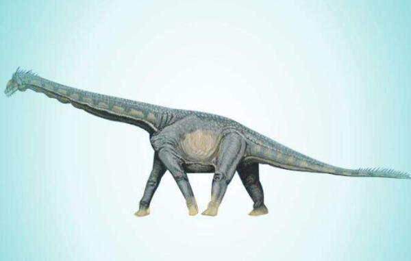众神花园龙：美国大型食草恐龙（长8米/距今1亿年前）