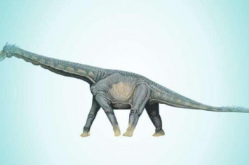 怪味龙：亚洲巨型食草恐龙（长15米/距今1亿年前）