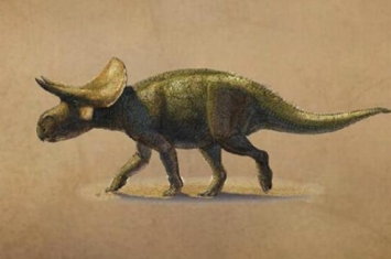 图兰角龙：已知最早的角龙科动物（长7米/9000万年前）