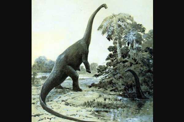 乌尔巴克齿龙：亚洲小型食肉恐龙（长1.5米/8900万年前）