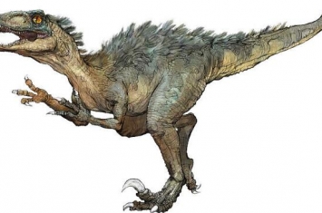 犹他盗龙：最聪明与危险的恐龙（长5.9米/1.25亿年前）