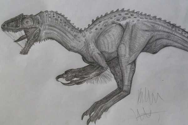 新猎龙:英国大型恐龙(长8米/化石完整度高达70%)