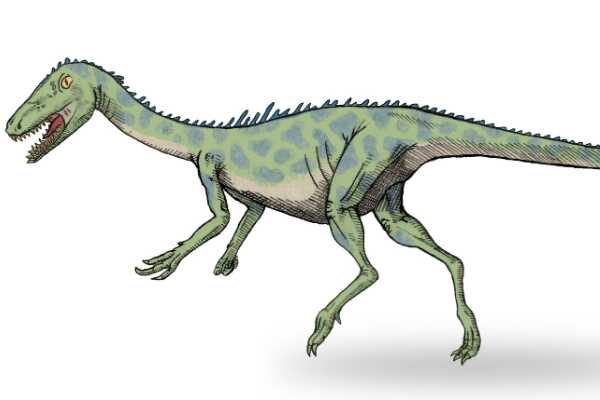 新猎龙:英国大型恐龙(长8米/化石完整度高达70%)