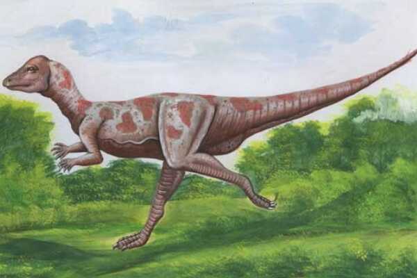 天青石龙:蒙古小型恐龙(长80厘米/尾巴带有扇状羽毛)