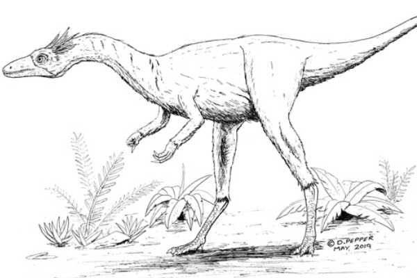 南角龙:南美疑名恐龙(仅出土一块齿骨/目前已遗失)