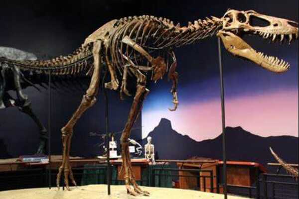 尼亚萨龙:远古爬行动物(可能是最古老恐龙/长2-3米)