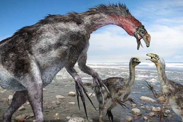 懒爪龙:北美大型恐龙(长6米/大爪子形似树懒)
