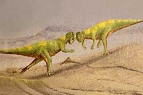 丽头龙:北美小型恐龙(长有厚实头盖骨/仅长3米)