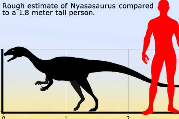 日本龙:大型植食恐龙(长7.6米/日本发现的首个恐龙)