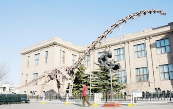 宝天曼龙：中国巨型食草恐龙（长25米/距今7000万年前）