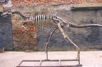 南阳龙:中型植食恐龙(长5米/最原始鸭嘴龙超科)