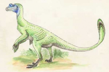 联鸟龙:欧洲小型肉食恐龙(长2米/出土于英格兰)