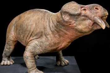 布拉塞特龙:三叠纪最大植食动物(长3.5米/有一对尖牙)