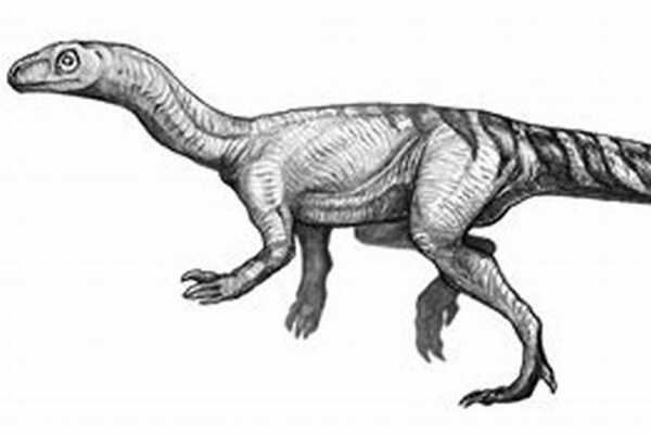 火盗龙:欧洲小型驰龙科恐龙(仅2.5米长/长有镰刀爪)