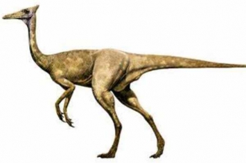 似鹈鹕龙:西班牙小型恐龙(长2米/牙齿多达220多颗)