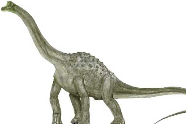 潘迪龙:英国小型蜥脚类恐龙(长2米/生于2亿年前)