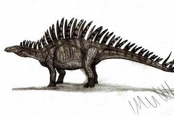 帕克氏龙:北美小型恐龙(长2米/大腿比小腿长且发达)