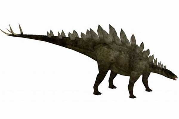 帕克氏龙:北美小型恐龙(长2米/大腿比小腿长且发达)
