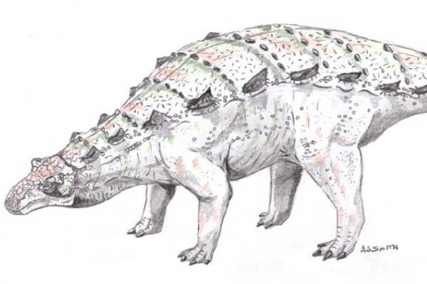 畸形龙:欧洲巨型恐龙(长24米/最早认可的蜥脚恐龙)