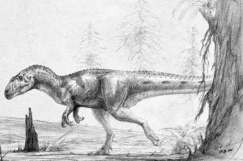 皮尔逖龙:巨型肉食恐龙(长11米/仅发掘一块颅骨)