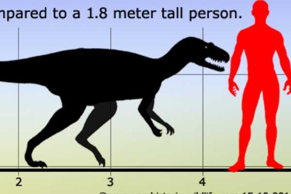 杂肋龙:欧洲大型恐龙(长9米/前肢极为短粗有力)