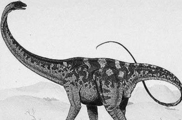 釜庆龙:韩国超巨型恐龙(长20米/仅出土大量脊椎骨)