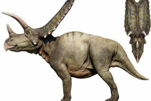 似凹齿龙:西班牙中型恐龙(长5米/生于7000万年前)