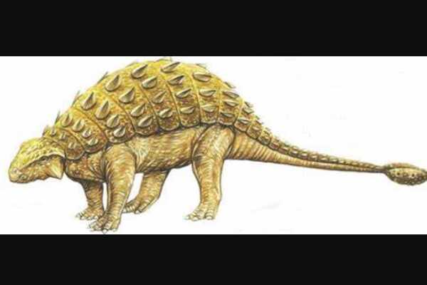 皮萨诺龙:最古老的鸟臀目恐龙(长1米/出土于南美)