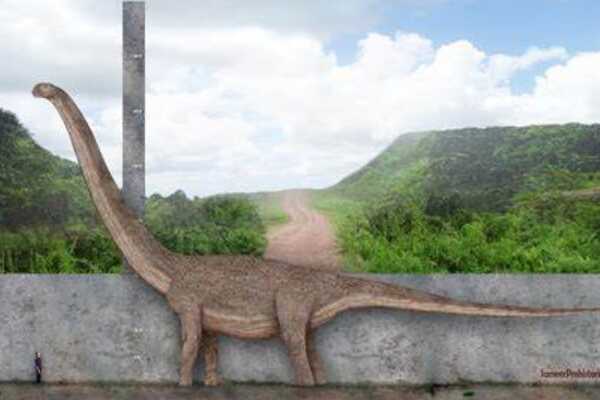 倾头龙:蒙古小型恐龙(长2.5米/颅顶圆润倾斜)