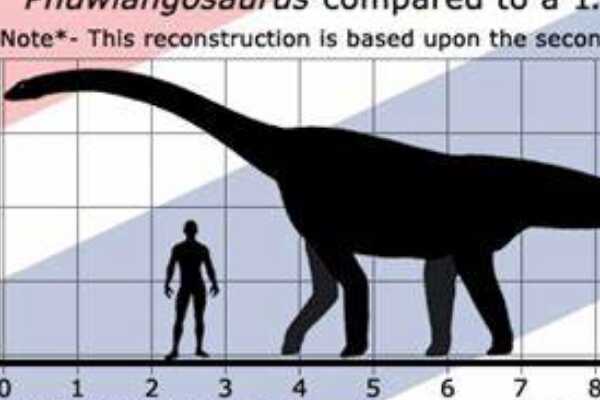 敏捷龙:同名的两大兽脚恐龙(分别出土于中国和欧洲)