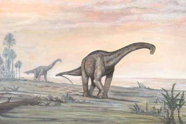密林龙:巴西大型恐龙(长9米/出土于亚玛逊森林)