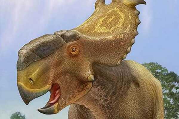 柏利连尼龙:南美超巨型恐龙(长25米/仅发现脊椎骨)