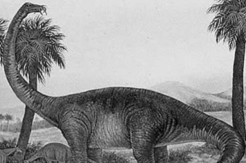 非凡龙:蒙古体型最大的恐龙(长23米/嘴巴类似马)