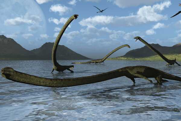 掠食龙:非洲巨型恐龙(长15米/脸型似马/拥有长尾巴)