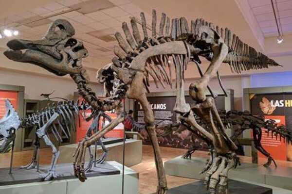 白熊龙:目前生存地点最北的恐龙(长5米/出土于北极圈)