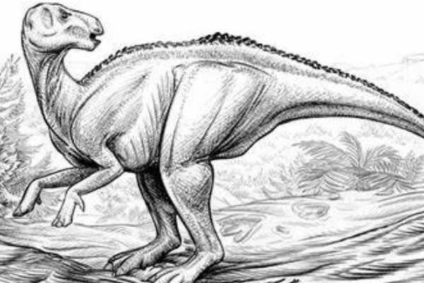 原巴克龙:中国中型恐龙(长5米/出土于阿拉善地区)