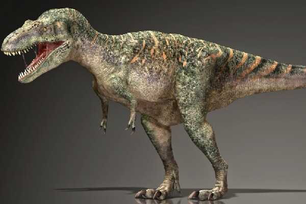 依潘龙:侏罗纪第三大肉食恐龙(长12米/顶级掠食者)