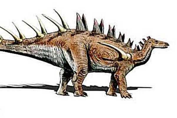瑞钦龙:蒙古小型恐龙(长1.5米/头顶长有圆拱高冠饰)