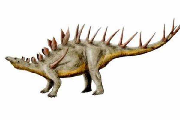 瑞钦龙:蒙古小型恐龙(长1.5米/头顶长有圆拱高冠饰)