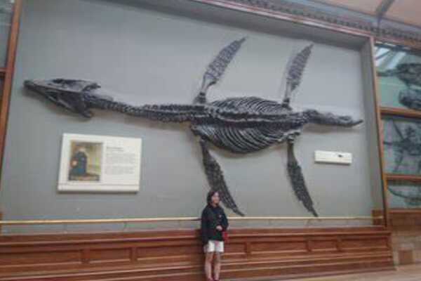 菱龙:最原始的蛇颈龙类生物(长3.5-8米/生于2亿年前)
