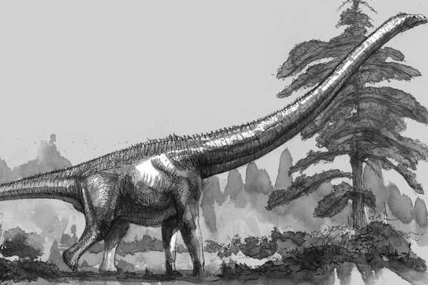 埃拉尔巨龙:世界最大的恐龙(长30米/出土于阿根廷)