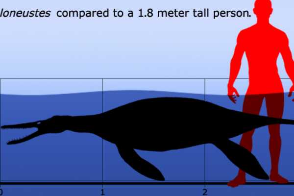 倾齿龙:巨型沧龙科动物(超过14米长/以2.9米海龟为食)